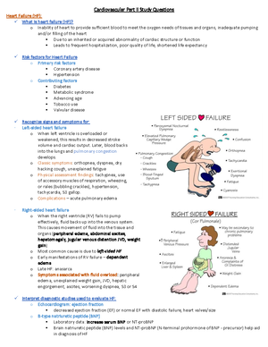 CARE 2 HESI-from Med-surg-hesi-V3 - HESI RN Med-Surg V3 2021 – 55 ...