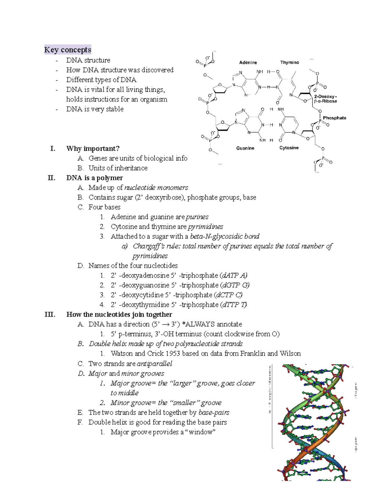 Module 1 Lecture 1 2023 - Key Concepts DNA Structure How DNA Structure ...