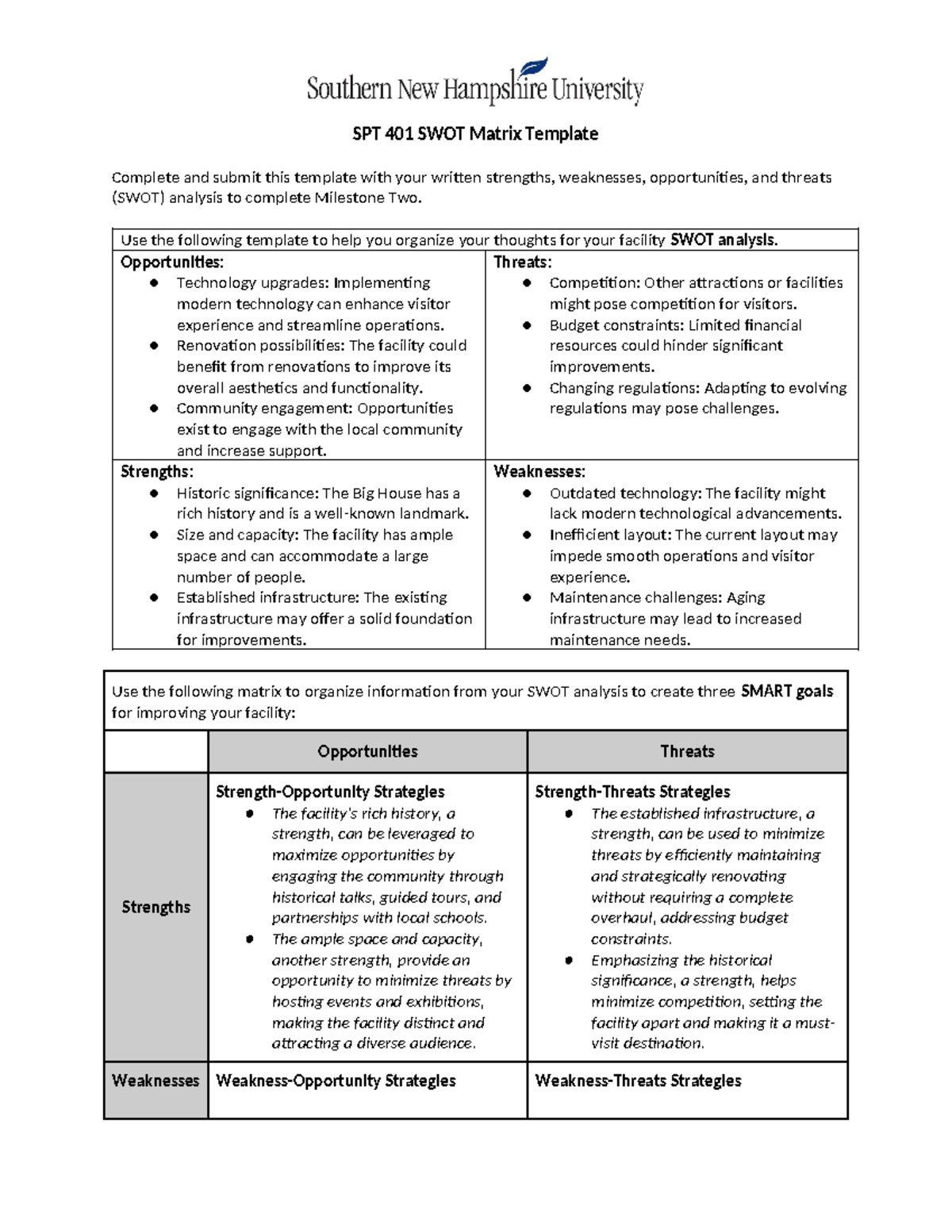 Spt401- Swot Matrix - dvasdv qwrg qqwgt - SPT 401 SWOT Matrix Template ...