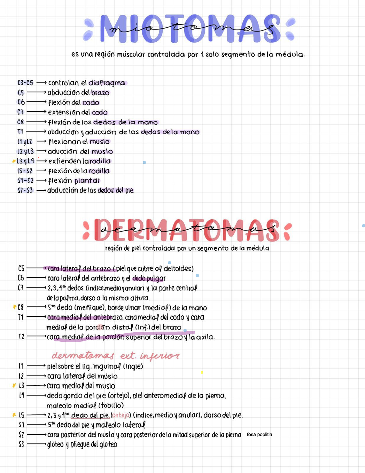 tabla de miotomas y dermatomas