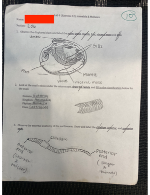 Lab 09 Arthropoda and Echinodermata Worksheet - Lab 9 (Exercise 13 ...