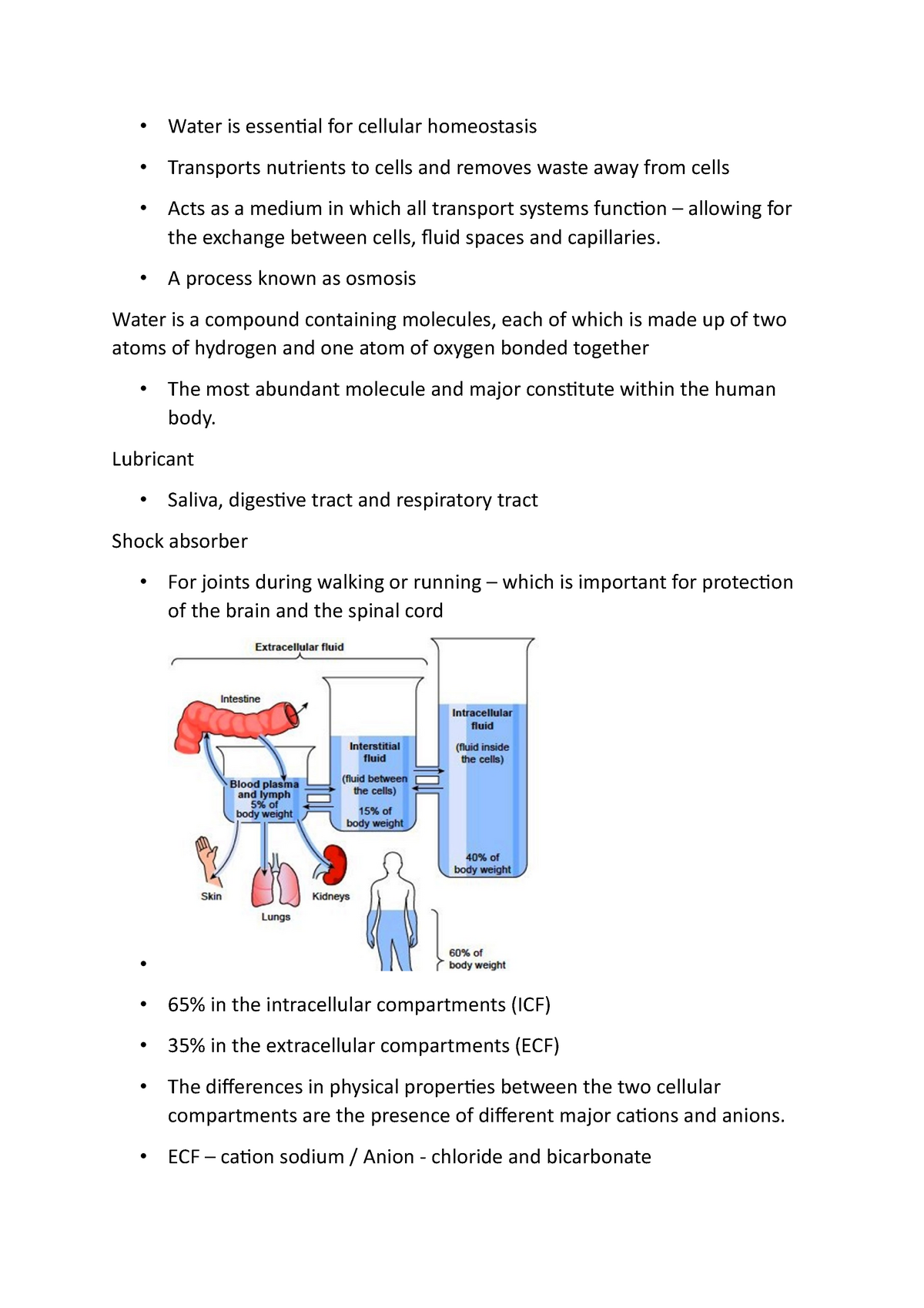 Hydration Revision 2 - Water Is Essential For Cellular Homeostasis ...