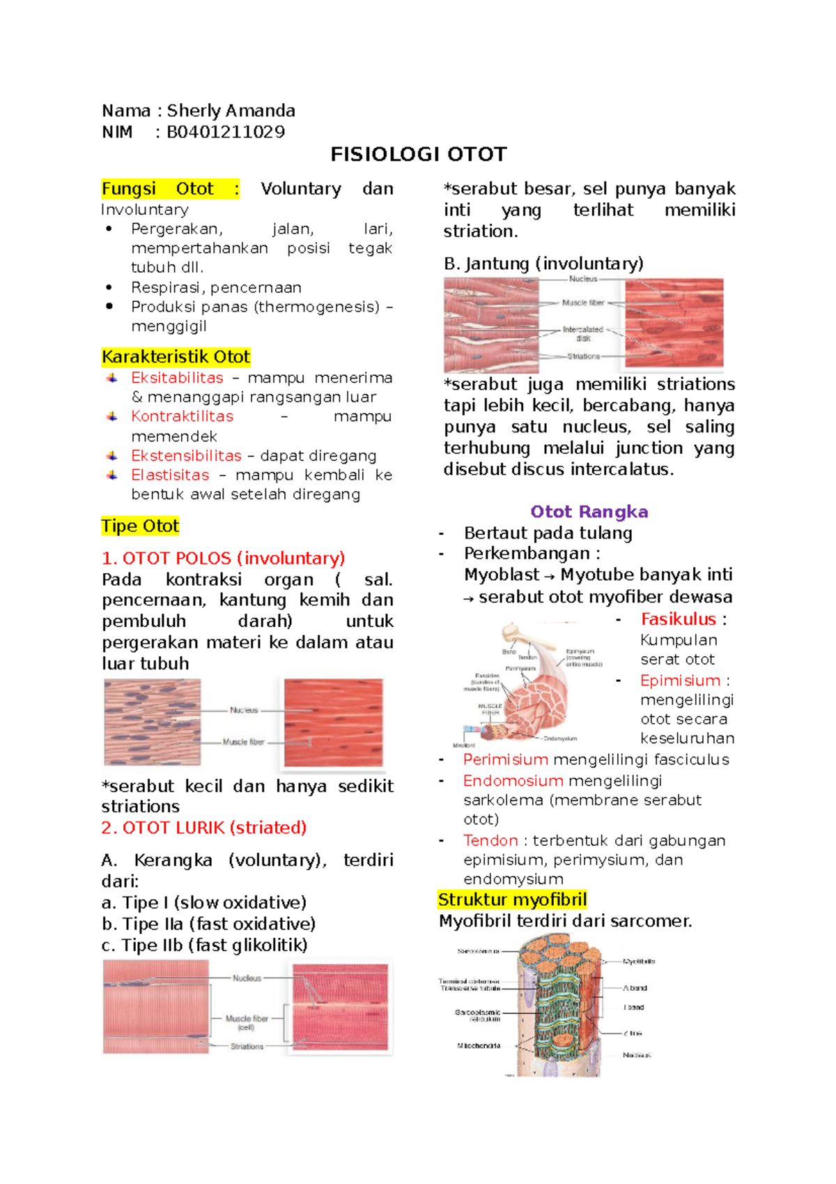 Resume Materi Otot Nama Sherly Amanda Nim B Fisiologi Otot Fungsi