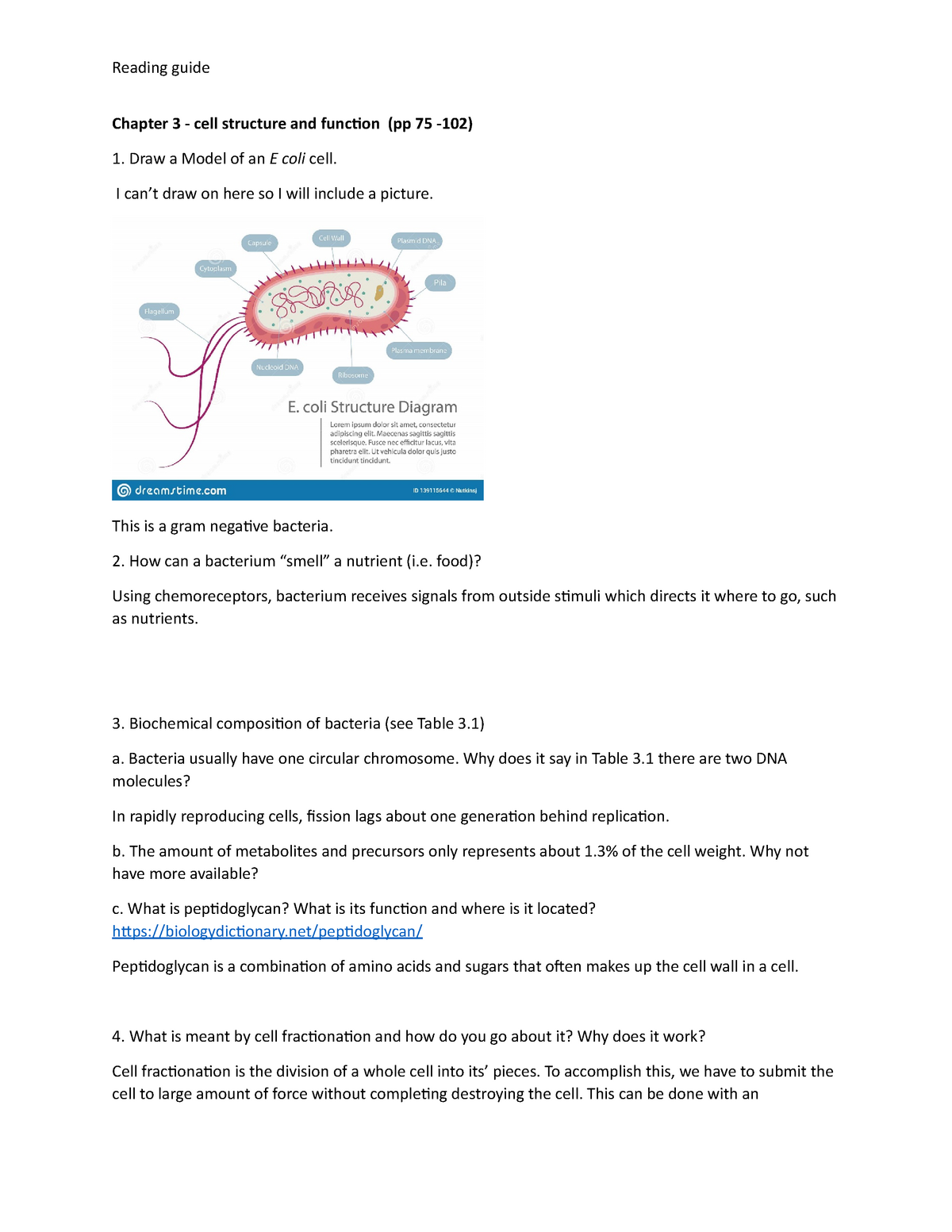 Chapter 3 Reading Guide Cell Structure And Function Reading Guide