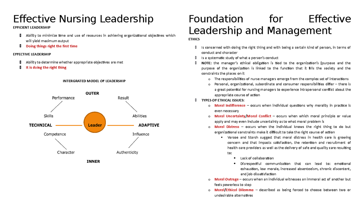 Effective Nursing Leadership Effective Nursing Leadership EFFICIENT   Thumb 1200 729 