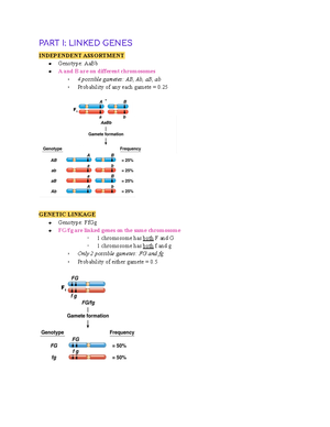 Task 2 - Mendel - Task 2 Learning goals: What is Mendelian Genetic ...