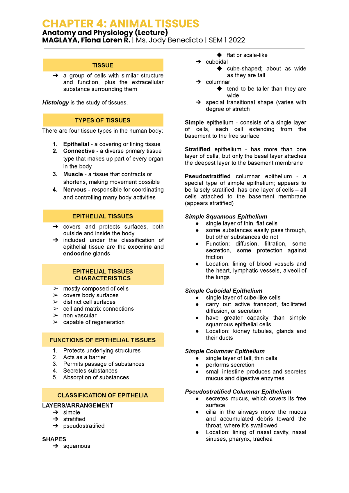 Anaphy-4 - Chapter 4: Animal Tissues - CHAPTER 4: ANIMAL TISSUES ...