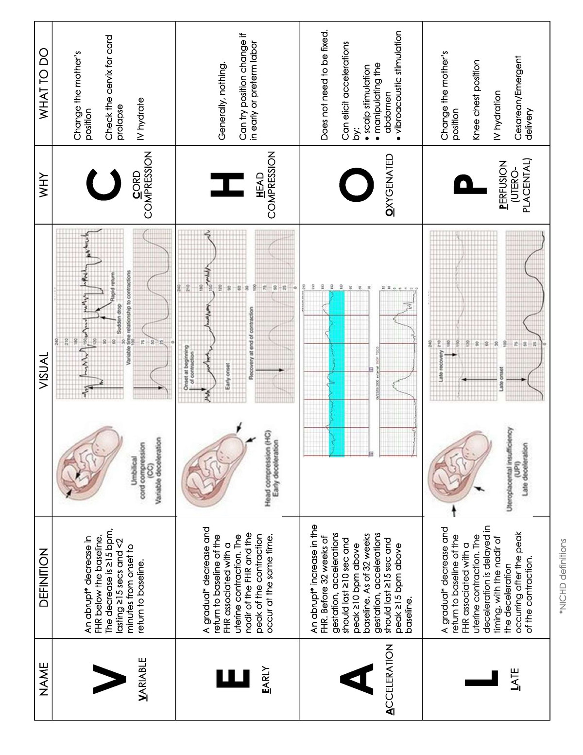 VEAL CHOP - Algorithm for baby heart rate during pregnancy - 345 - Studocu