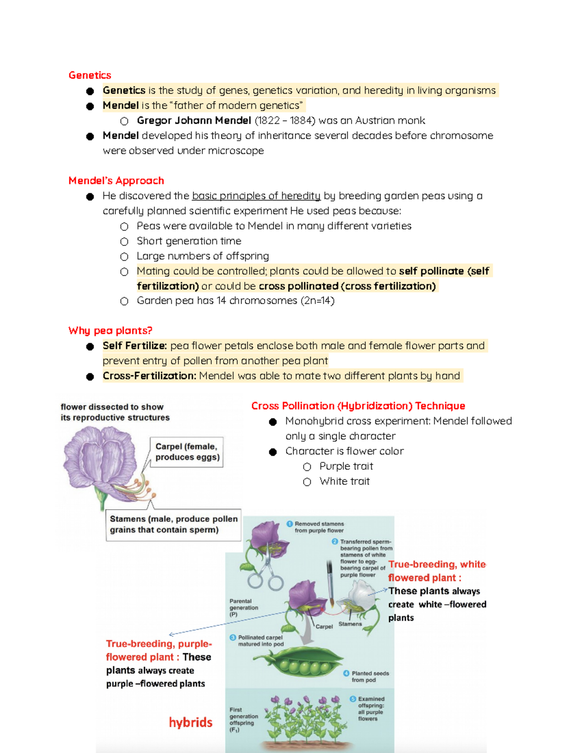 Chapter 11 - Patterns of Inheritance - Genetics Genetics is the study ...