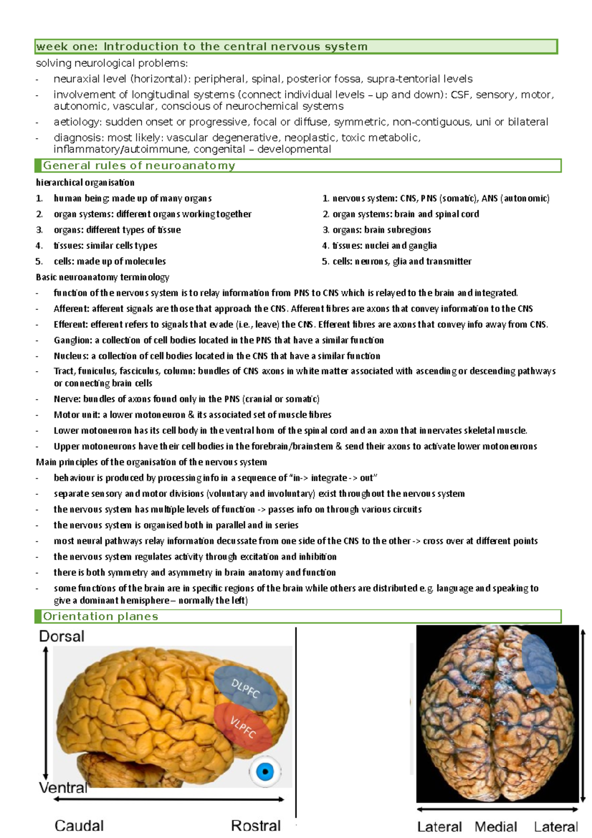 Week One - Lecture Notes 1 - Week One: Introduction To The Central ...