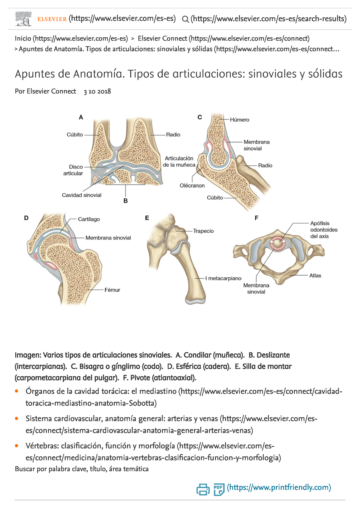 Apuntes De Anatomía. Tipos De Articulaciones Sinoviales Y Sólidas ...