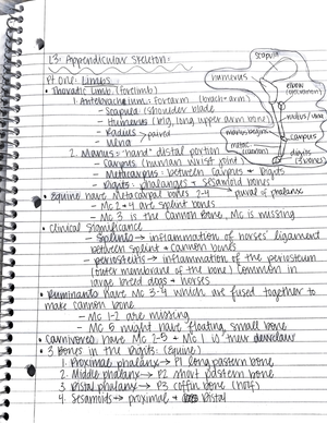 L6 - Notes taken from uploaded lectures and slides - The nervous system ...