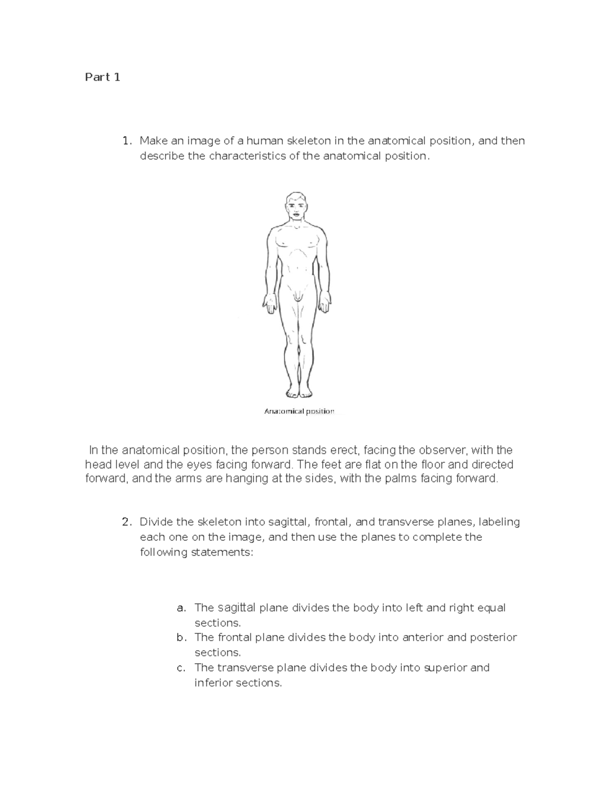 Activity 1 human body care Tecmi - Part 1 Make an image of a human ...