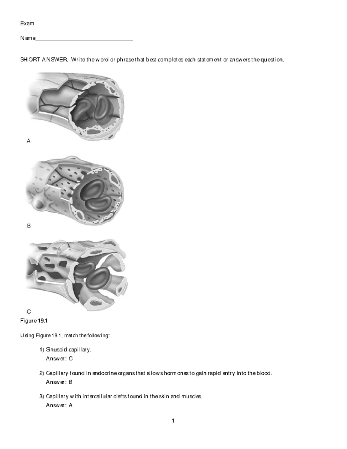 Chapter 19 Matching Words With Definitions Chide