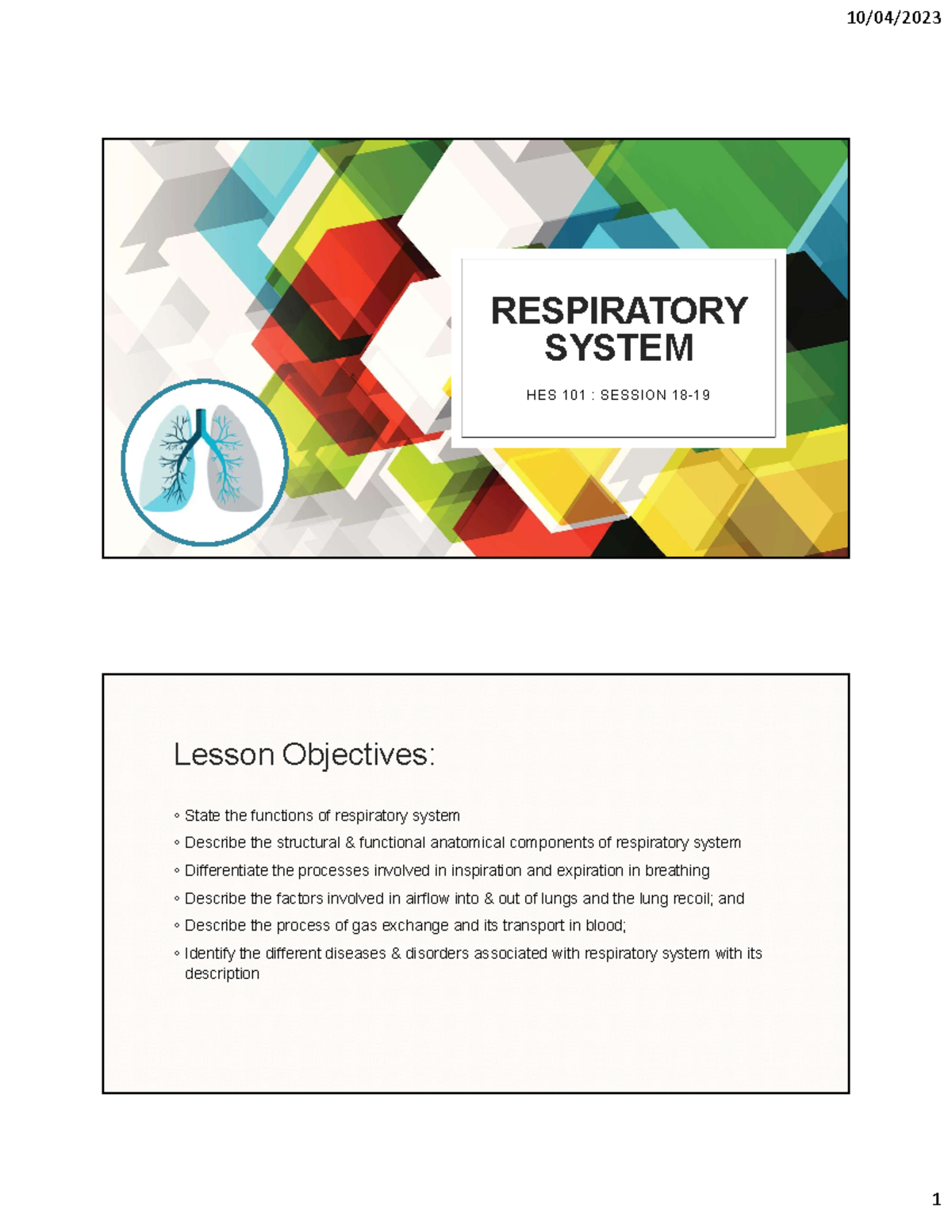 HES 101 Respiratory System - RESPIRATORY SYSTEM HES 101 : SESSION 18 ...