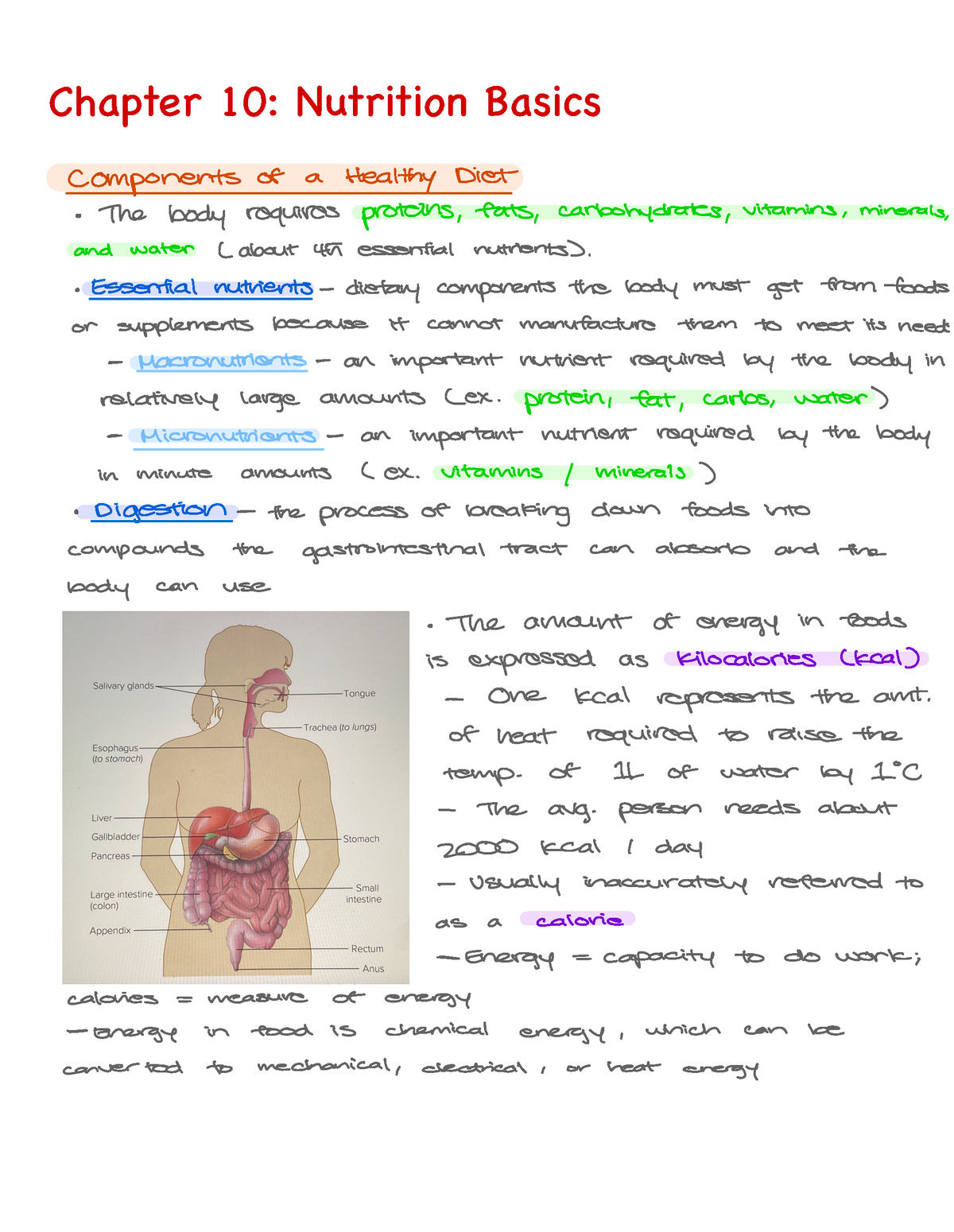 Chapter 10 Nutrition Basics Chapter 10 Nutrition Basics Components