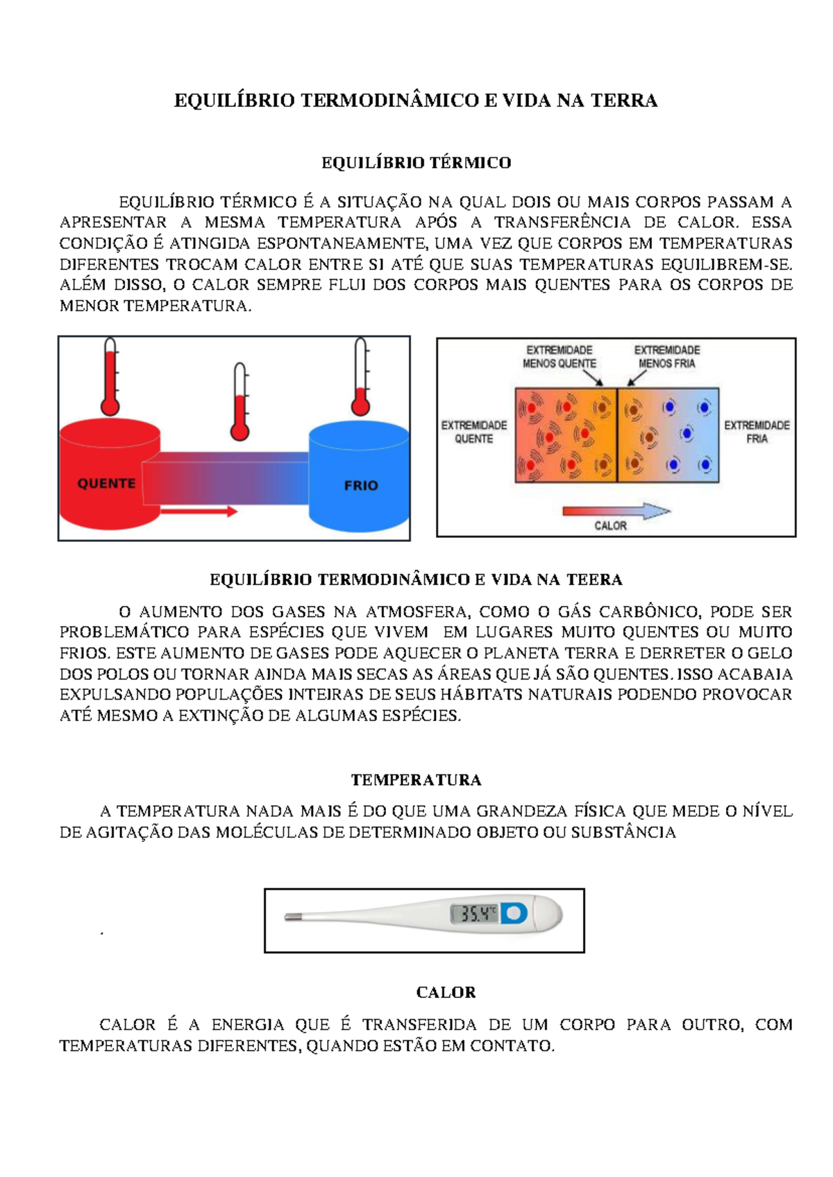 Equilíbrio Termodinâmico E VIDA NA Terra - EQUILÍBRIO TERMODINÂMICO E ...