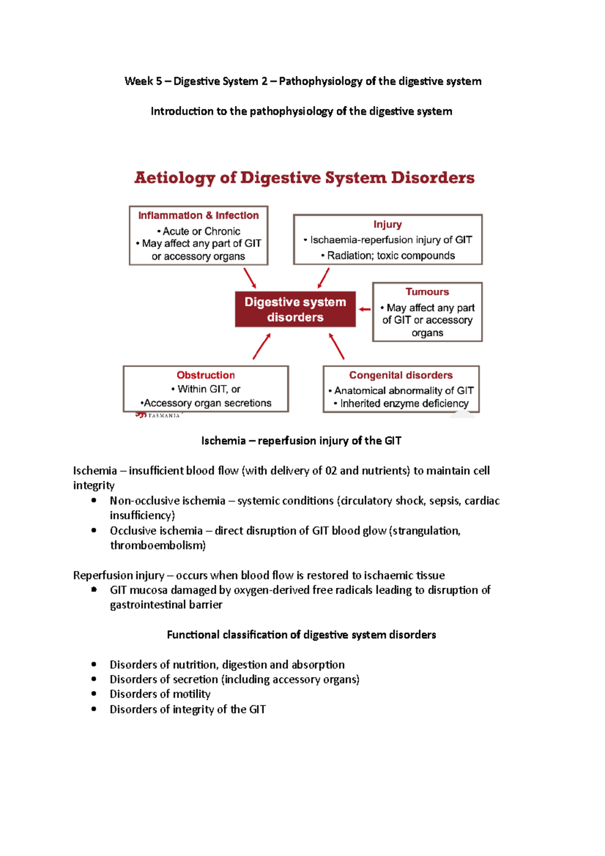 Week 5 - Digestive system 2 - Week 5 – Digestive System 2 ...