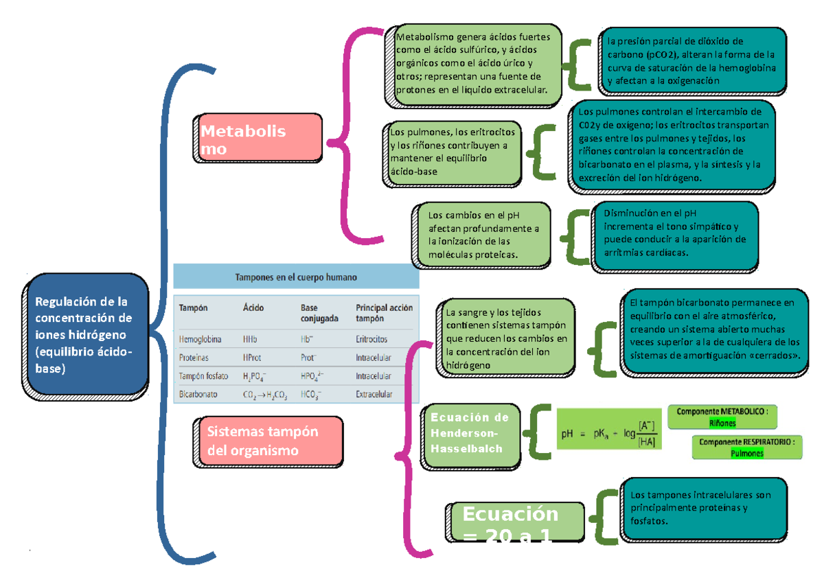 Cuadro Sinoptico 4 JKHIOYIU Los tampones intracelulares son
