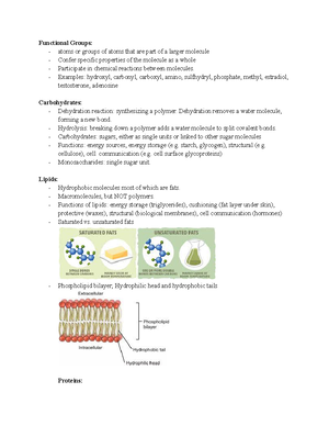 cell membrane permeability experiment with beetroot