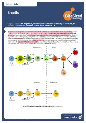T cell development in thymus - CATEGORY: IMMUNE DEVELOPMENT T-cell ...