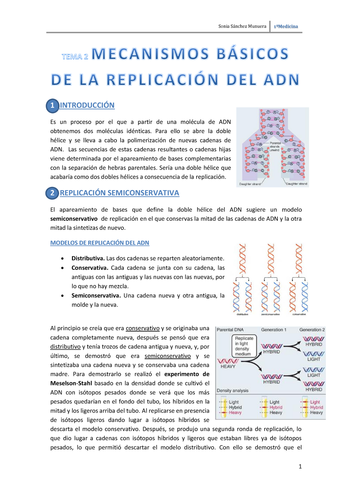 Tema 2- Replicación ADN - Sonia Sánchez Munuera 1ºMedicina 1 INTRODUCCIÓN  Es un proceso por el que a - Studocu