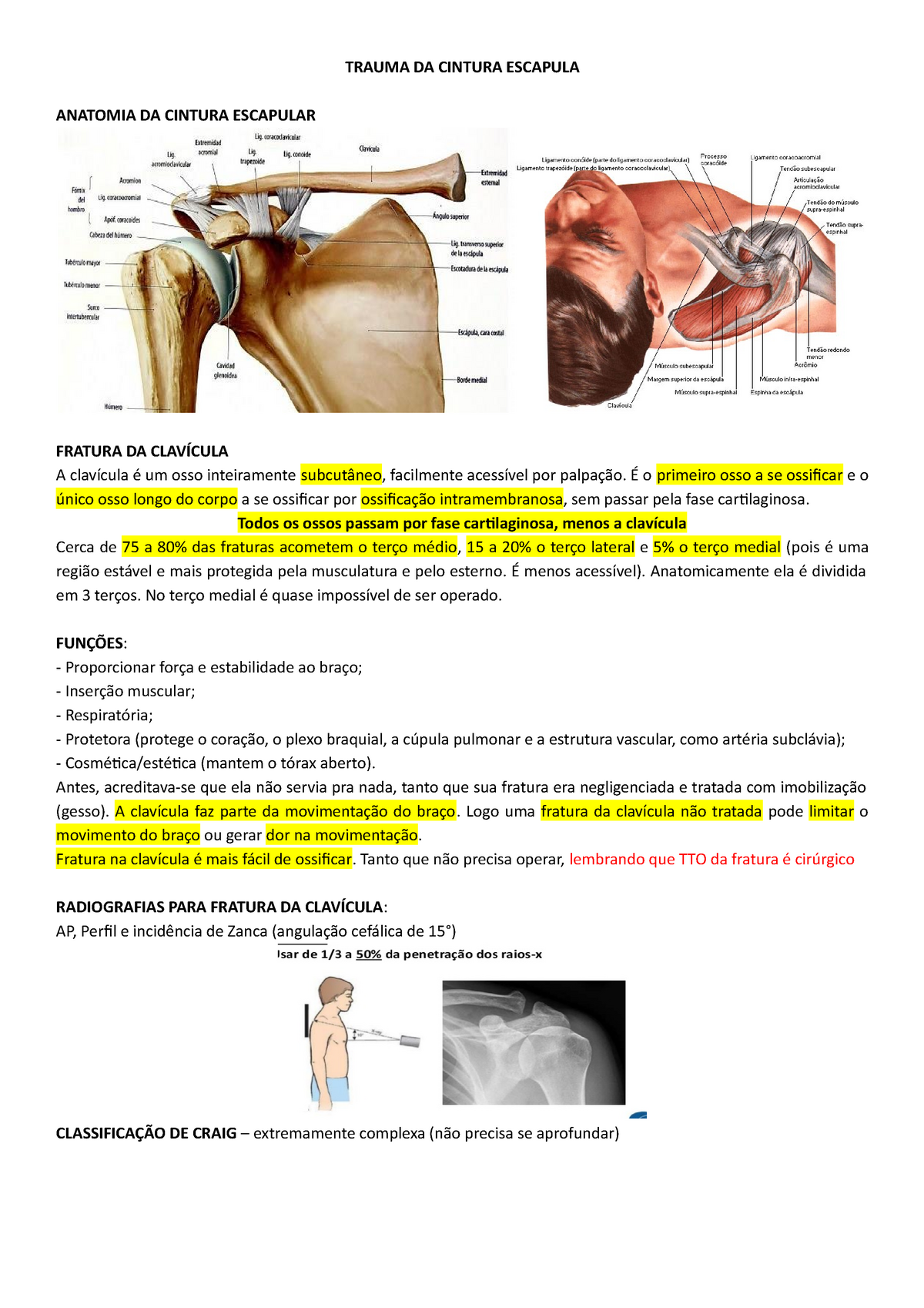 Cintura Escapular E Cíngulo Do Ombro - Traumatologia E Ortopedia