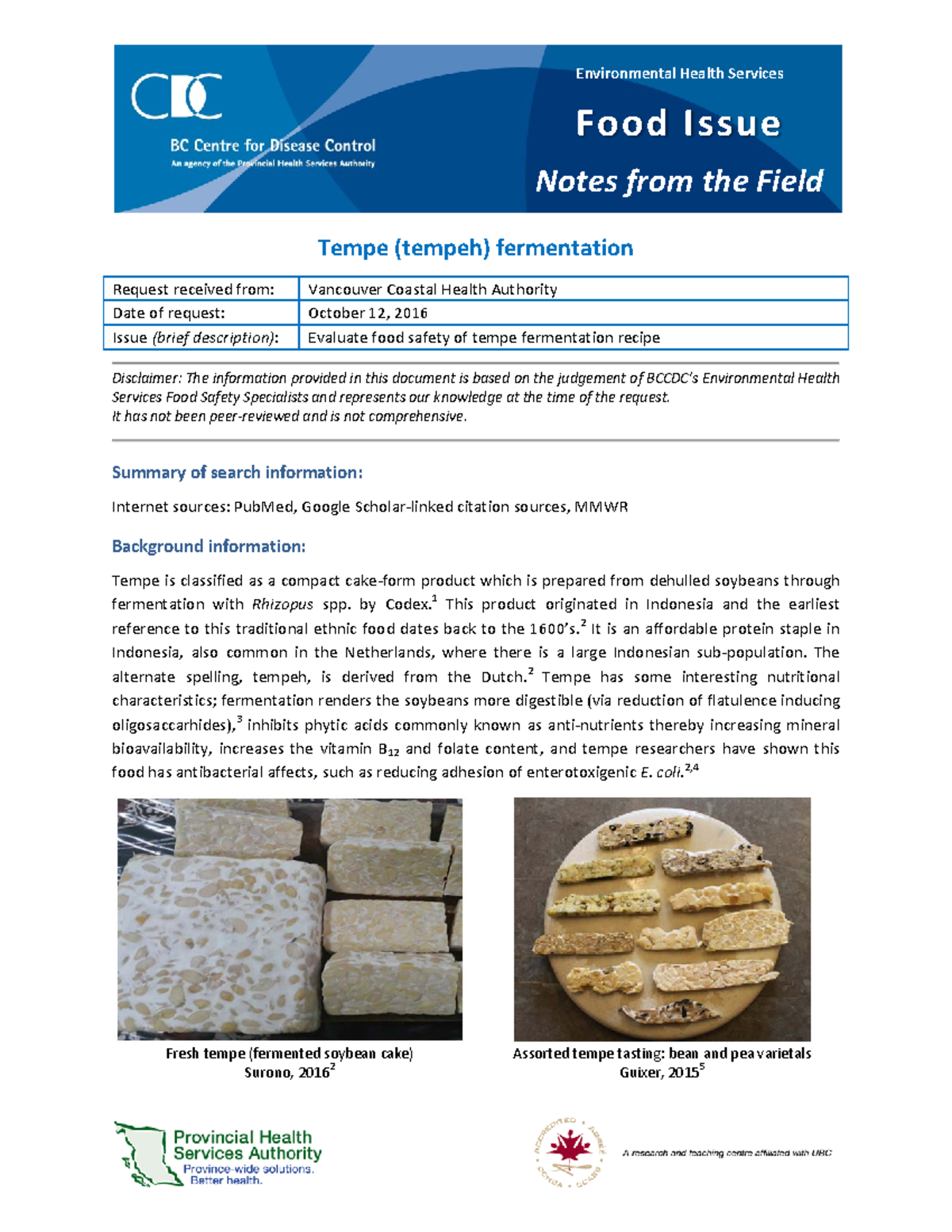 Tempeh Fermentationfermentation in food industry and processing of