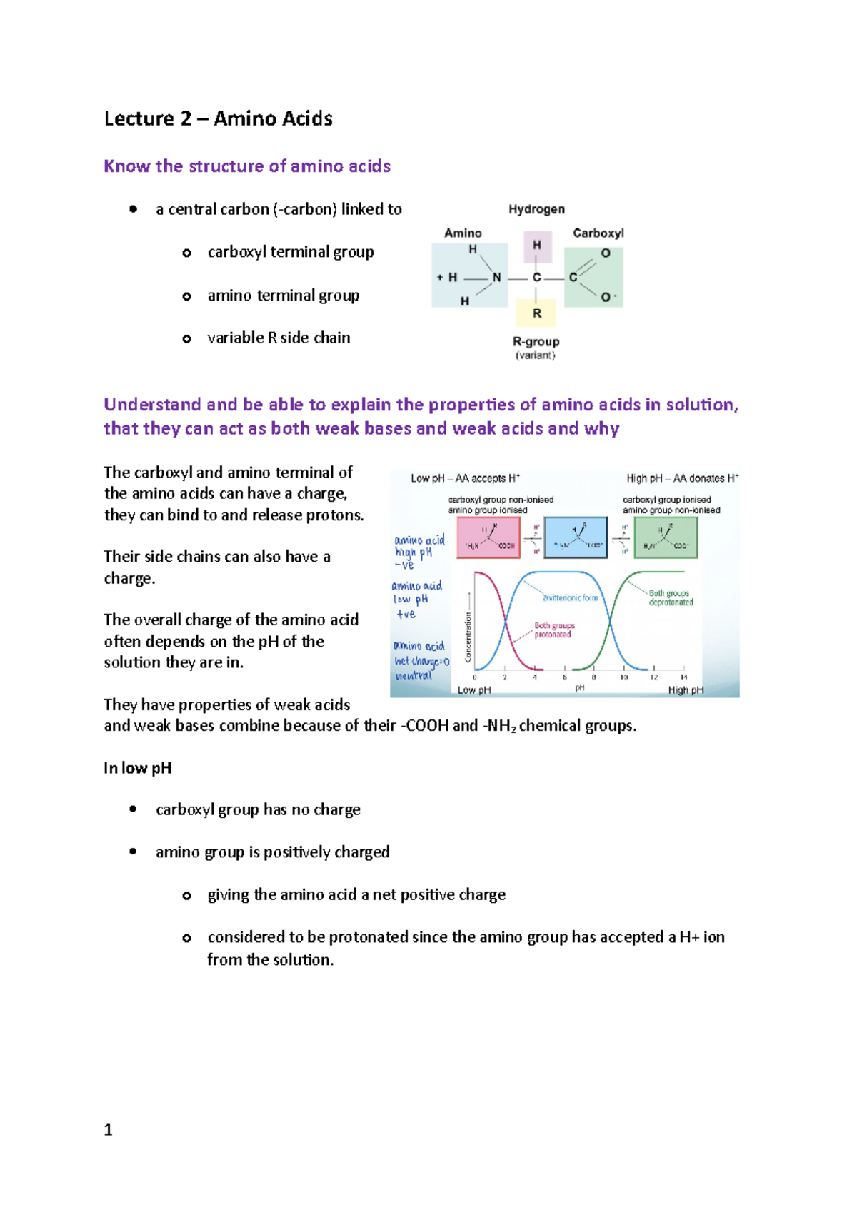 Lecture 2 - Amino Acids - Lecture 2 – Amino Acids Know the structure of ...