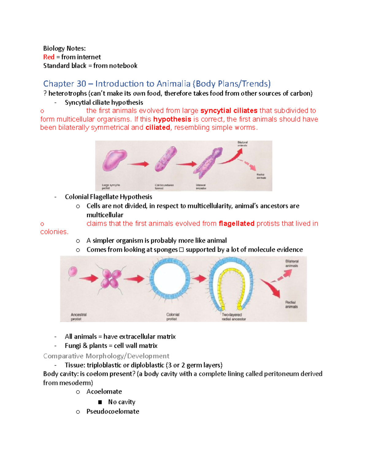 Biology Notes - Biology Notes: Red = from internet Standard black ...