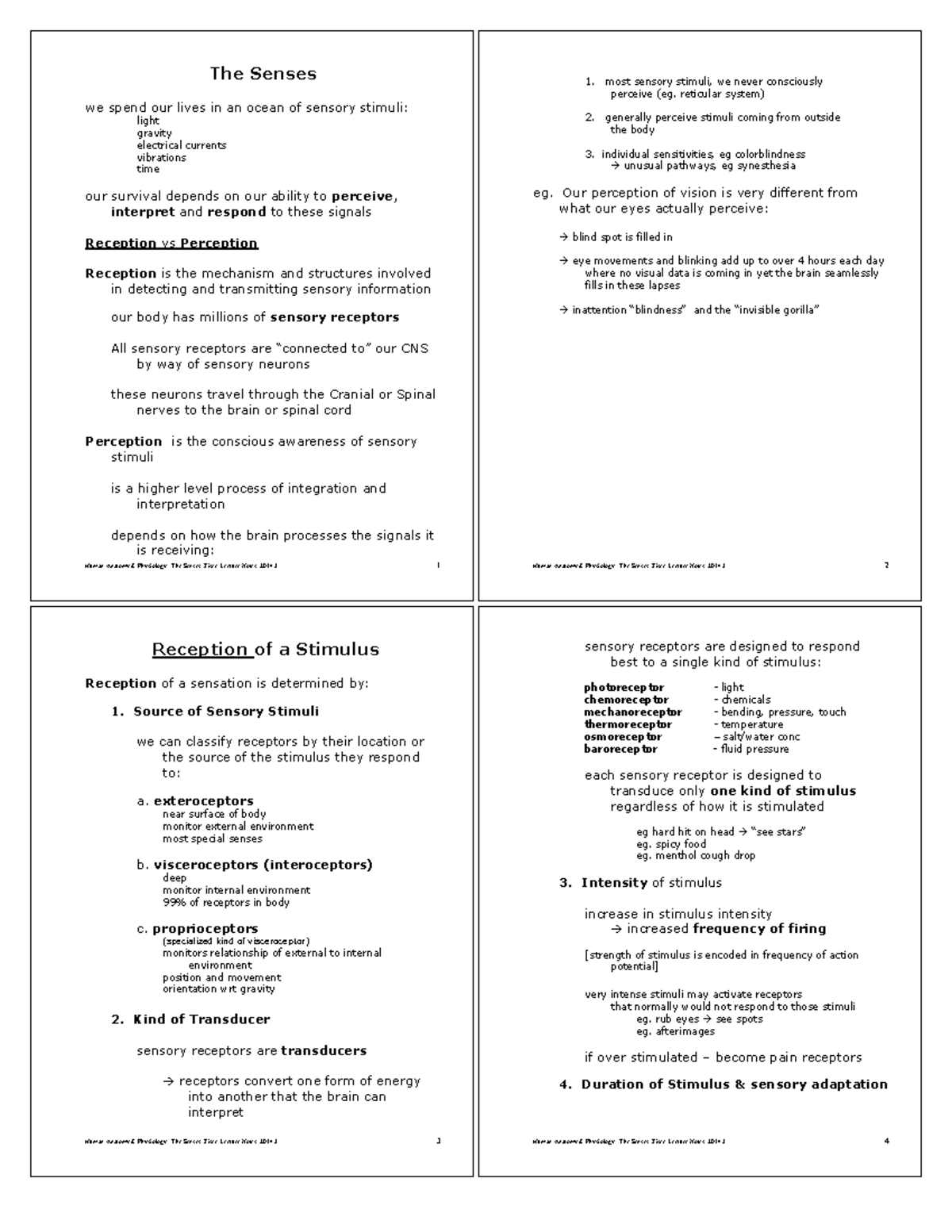 F.The Senses 2404 - lecture notes - The Senses we spend our lives in an ...