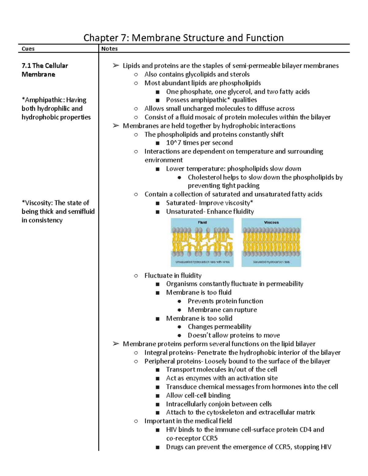 Biology Chapter 7 - Chapter 7: Membrane Structure And Function Cues ...