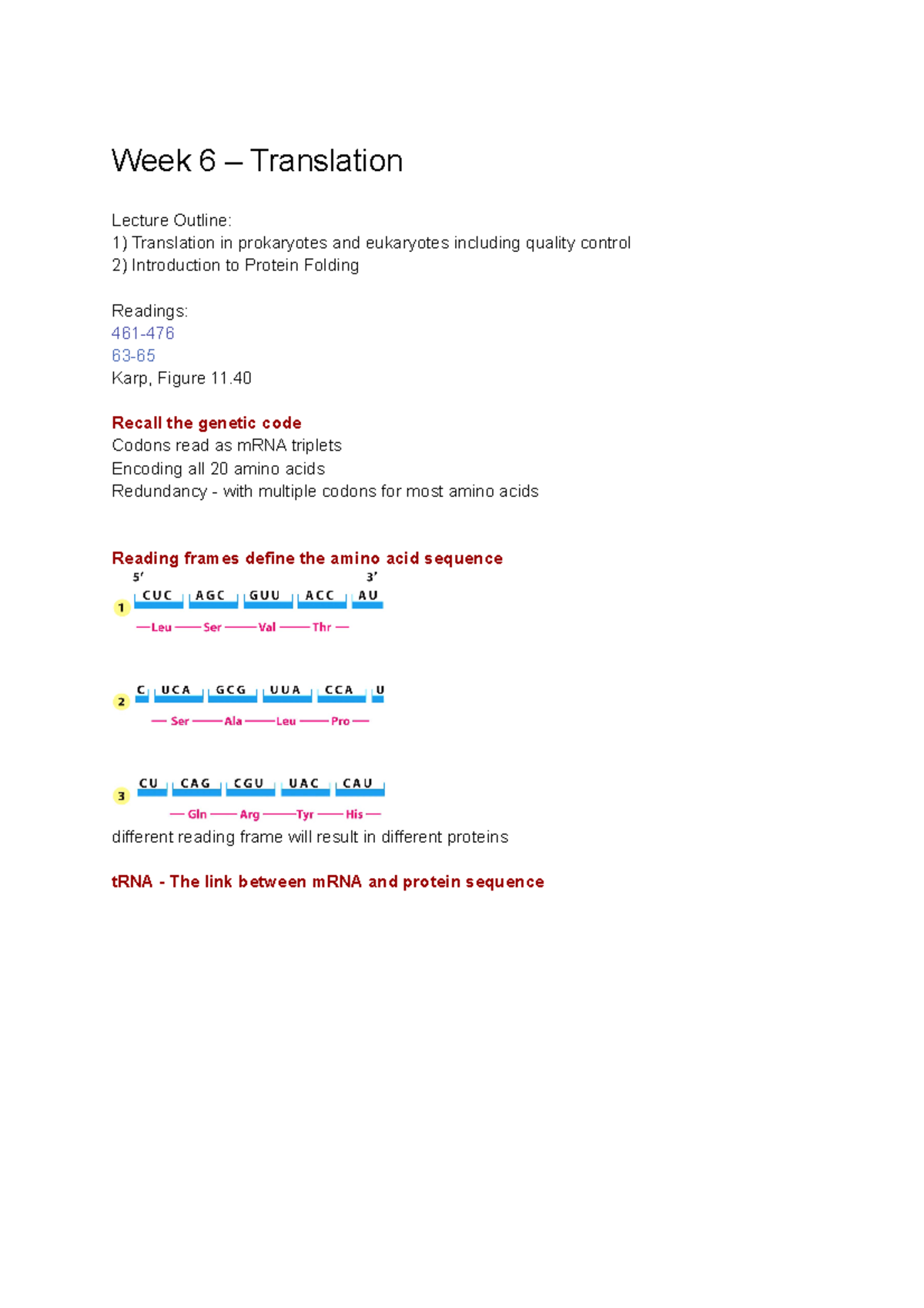 Week 6 – Translation - BIO130_Lecture_ - Week 6 – Translation Lecture ...