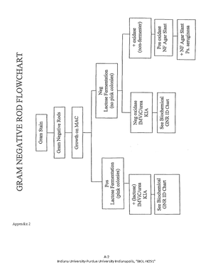 Appendix 1 Micro - Lab flow charts - N251 - Identification Flow Chart ...