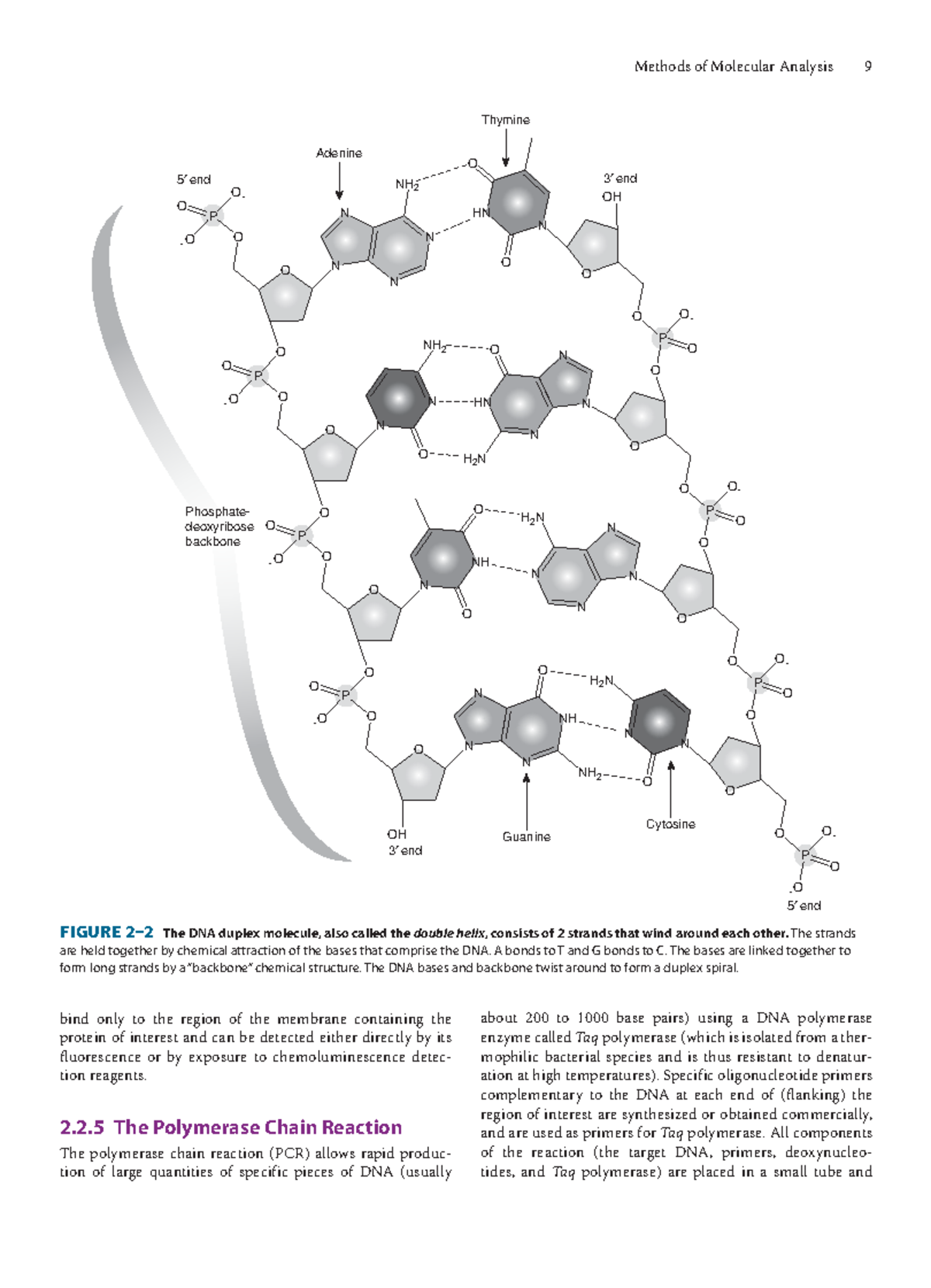 Basic Science of Oncology 5th-8 - Methods of Molecular Analysis 9 bind ...