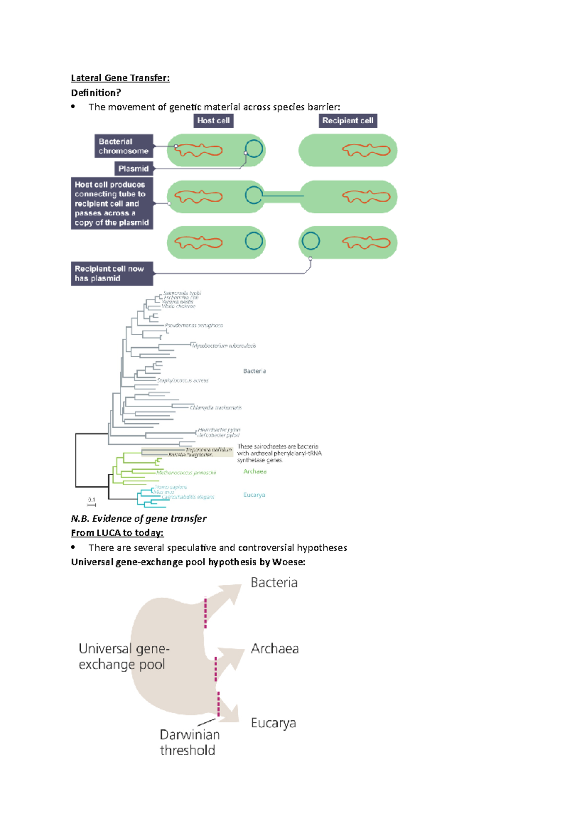 lateral-gene-transfer-lateral-gene-transfer-definition-the-movement