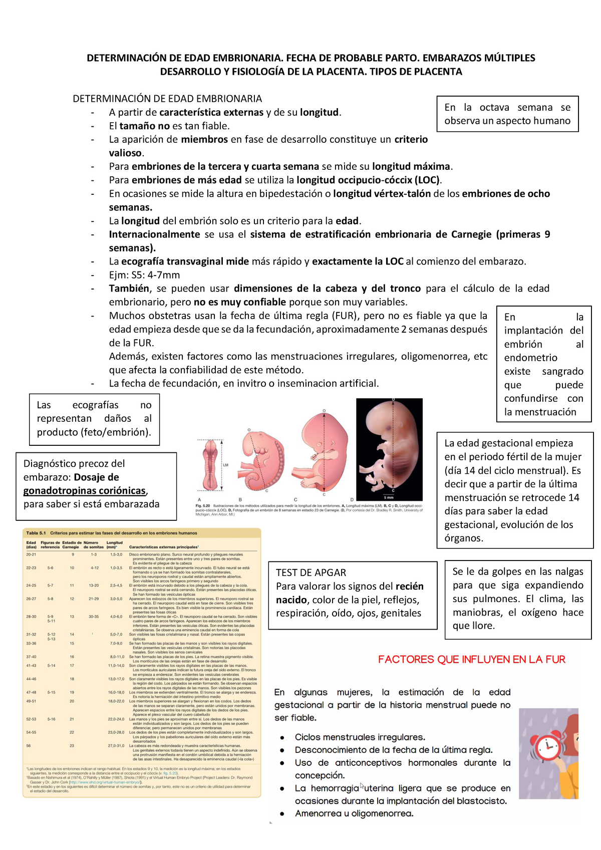 Semana 6- Embriologia - Son Resúmenes En Base Del Moore Para Su ...