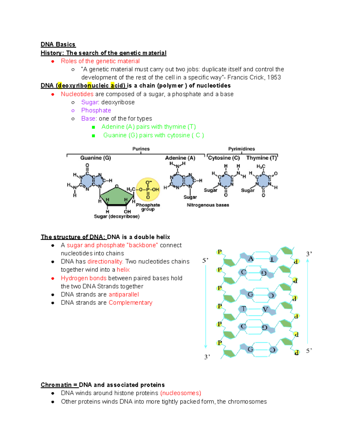 Medical Genetics Powerpoint 1 Part 4 - DNA Basics History: The search ...
