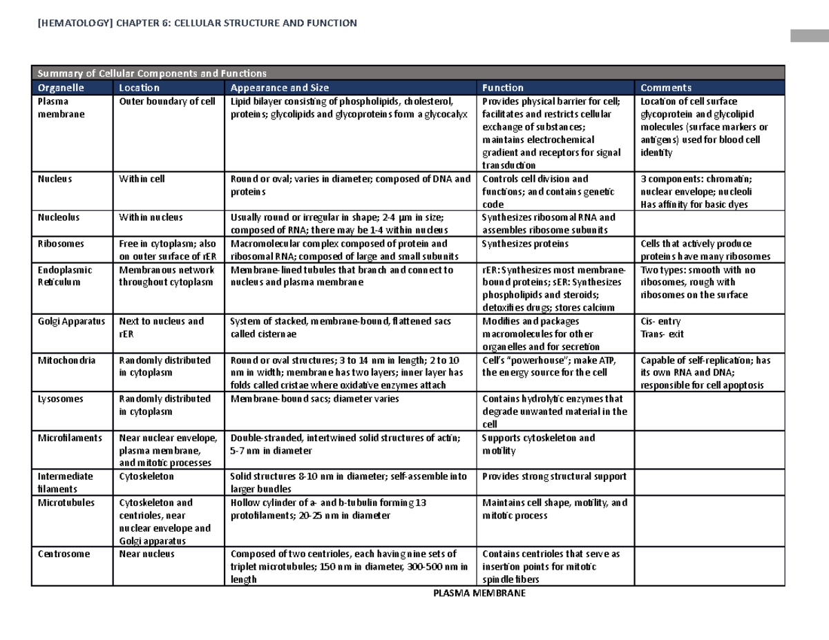 [HEMA] Chapter 6- cellular structure and function - [HEMATOLOGY ...