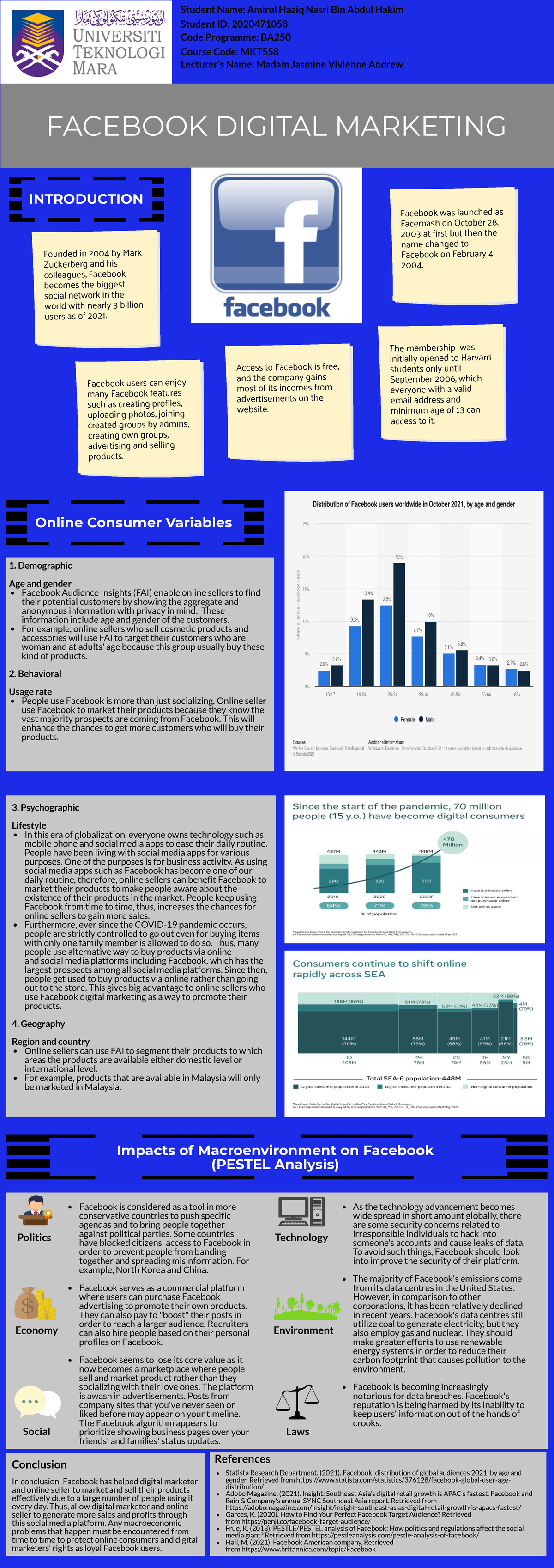 mkt558 digital marketing individual assignment