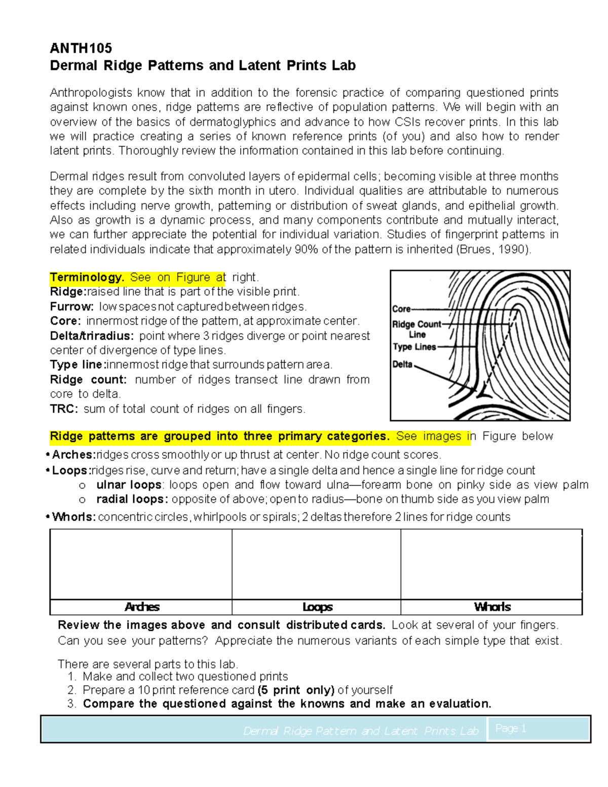 Lab 7 Fingerprint 2023 - Notes - Dermal Ridge Pat t ern and Lat ent ...