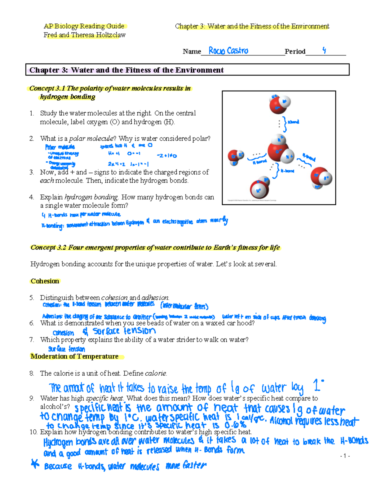 Bio Reading Guides chapter 3 - Fred and Theresa Holtzclaw Copyright ...