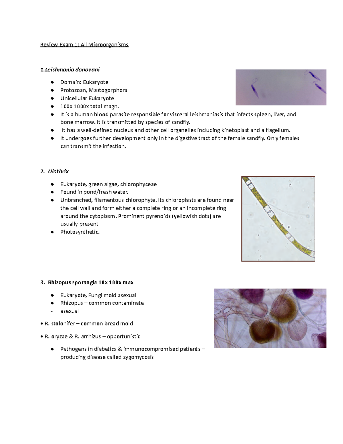 Exam 1 Review-1 - Exam review - Review Exam 1: All Microorganisms 1 ...
