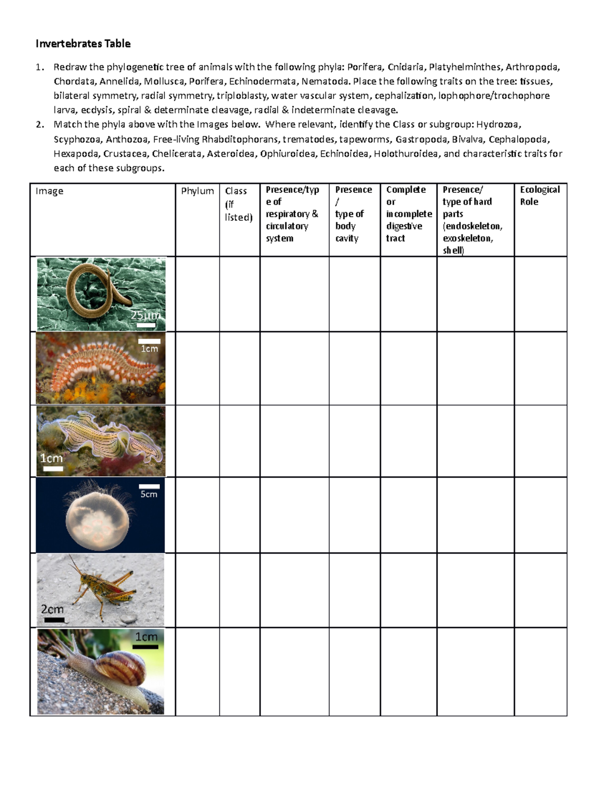 Invertebrates-Table-1 Practice Worksheet BSC 2011L - Invertebrates