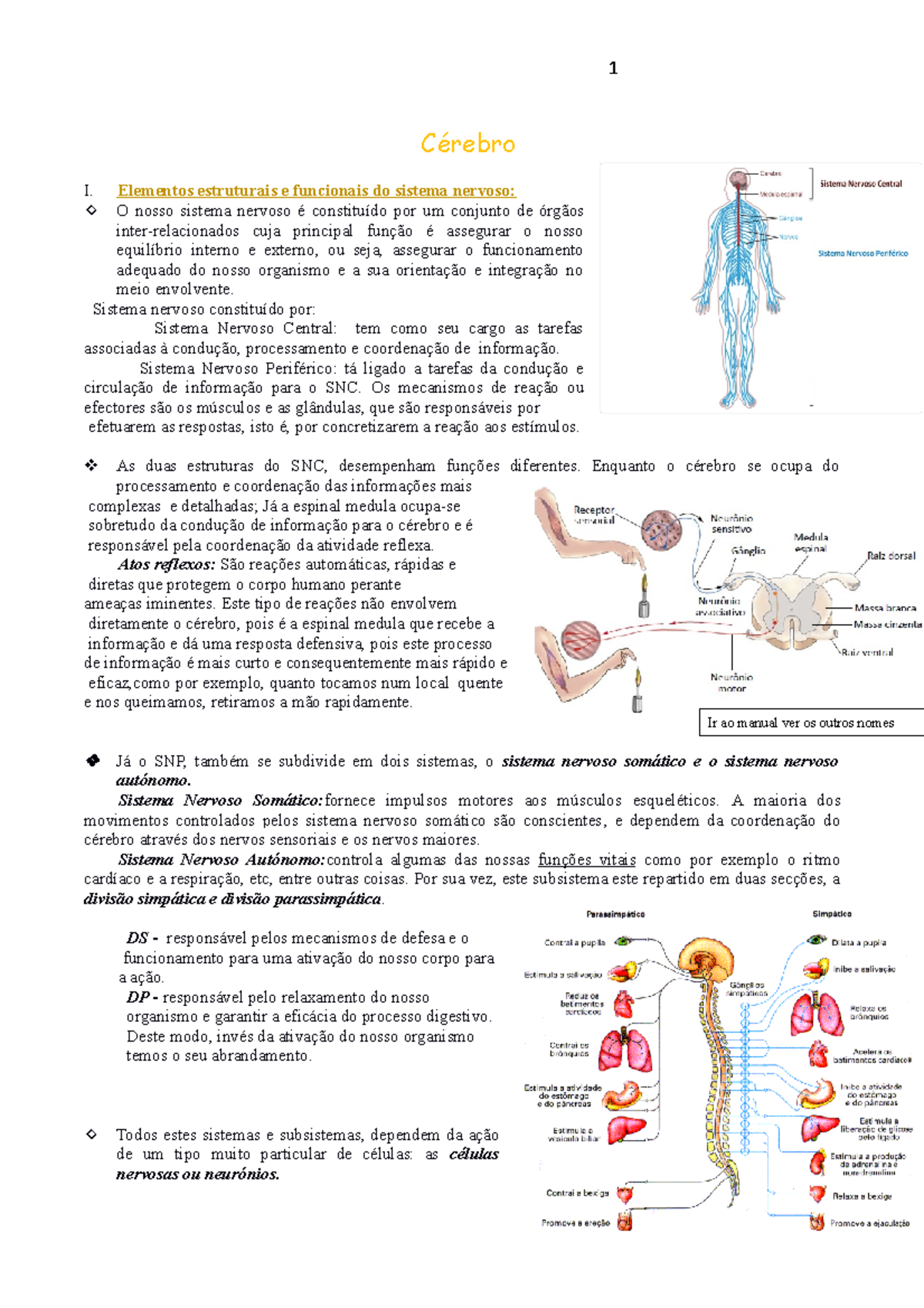 2. Cérebro Psicolgia B - Resumo Sobre O Cerebro De Psicologia - Cérebro ...