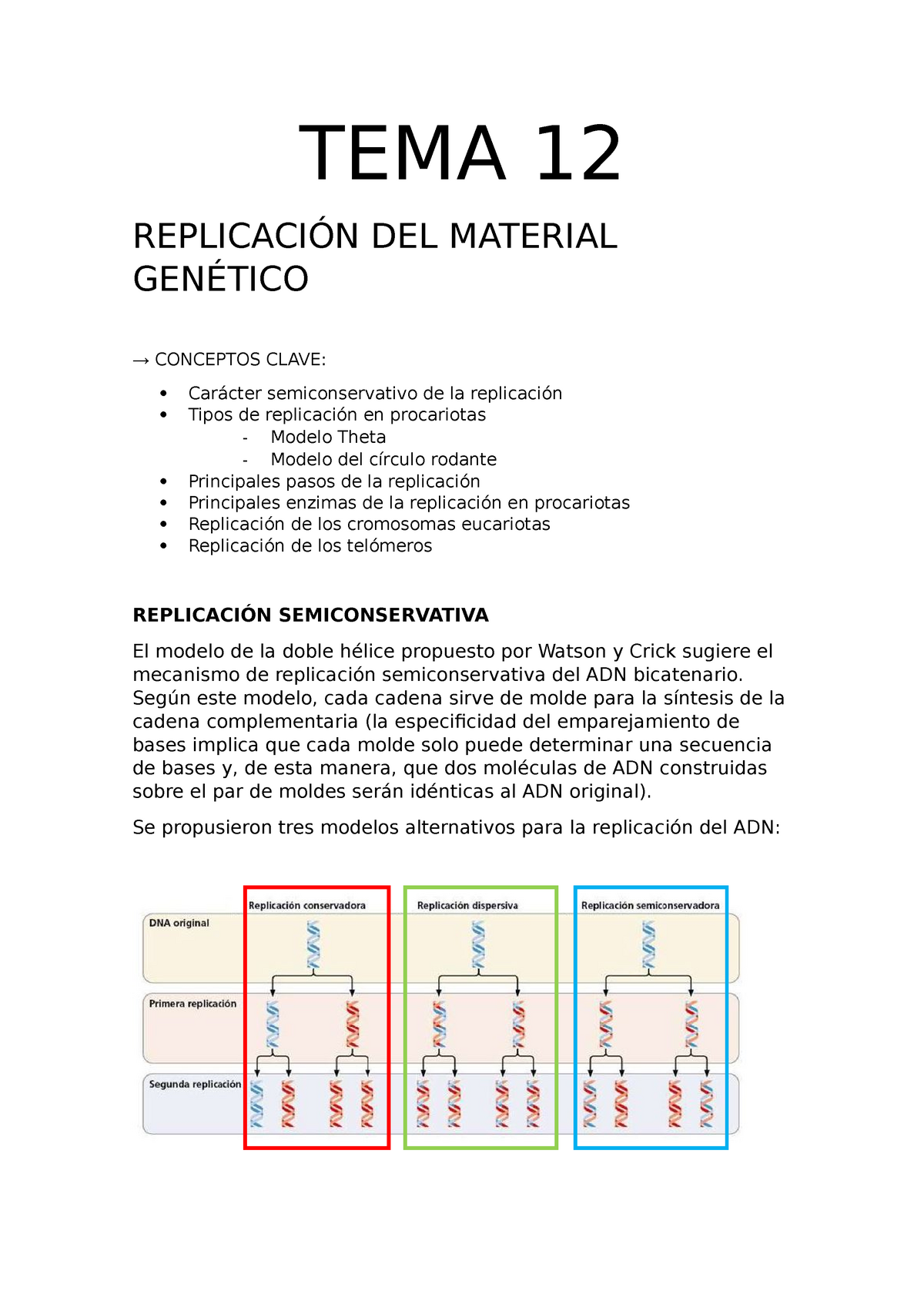 REPLICACIÓN DEL MATERIAL GENÉTICO - TEMA 12 DEL MATERIAL CONCEPTOS CLAVE:  semiconservativo de la - Studocu