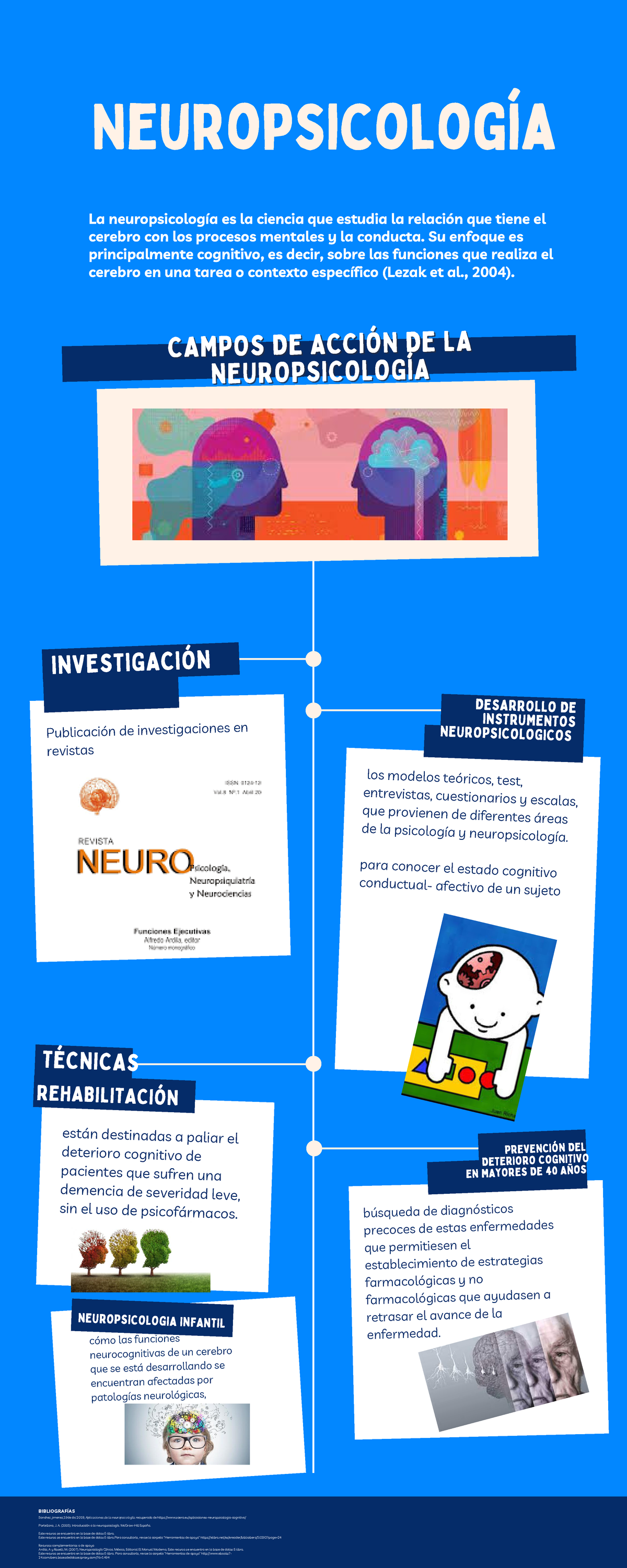 Campos De La Neuropsicología, Y Su Desarrollo En La Psicología Y La ...