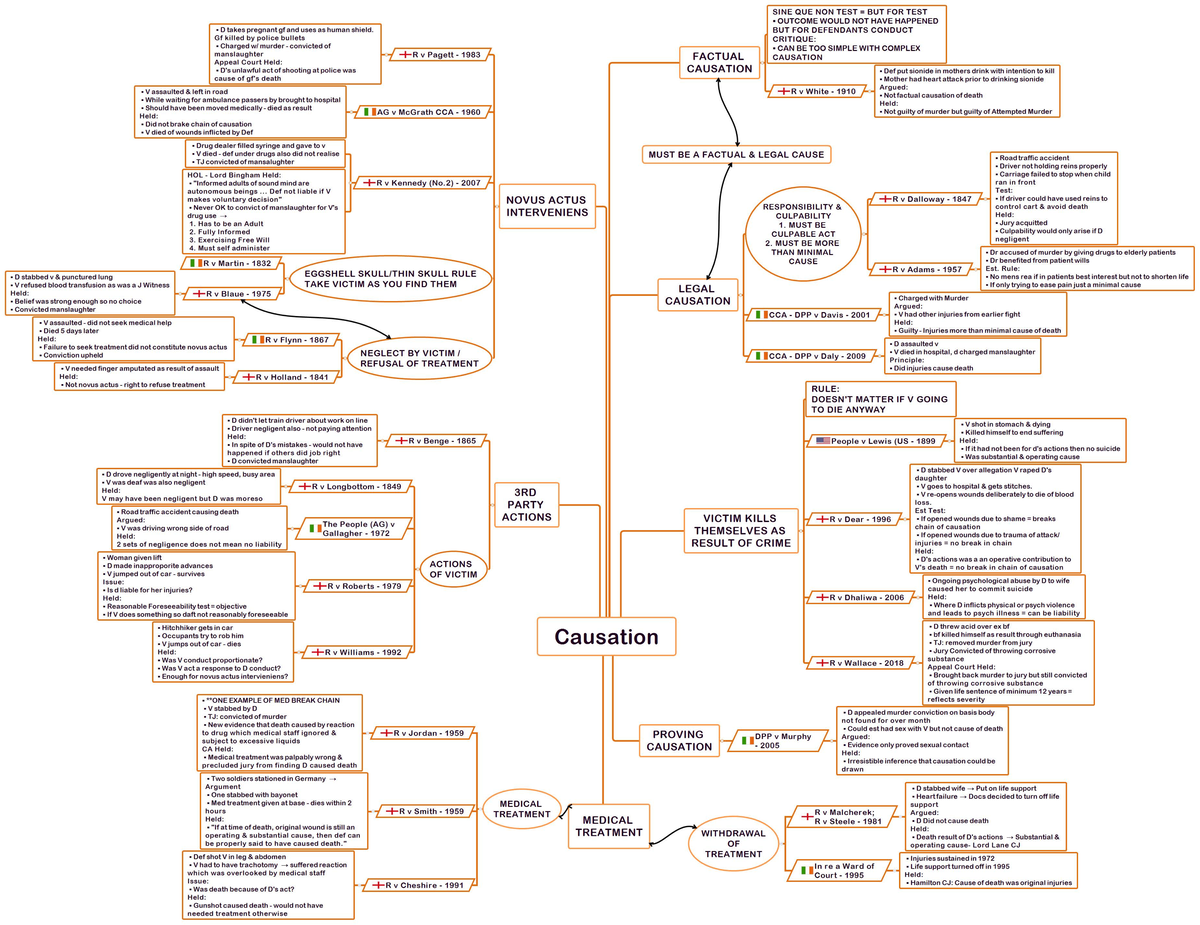 criminal law causation essay