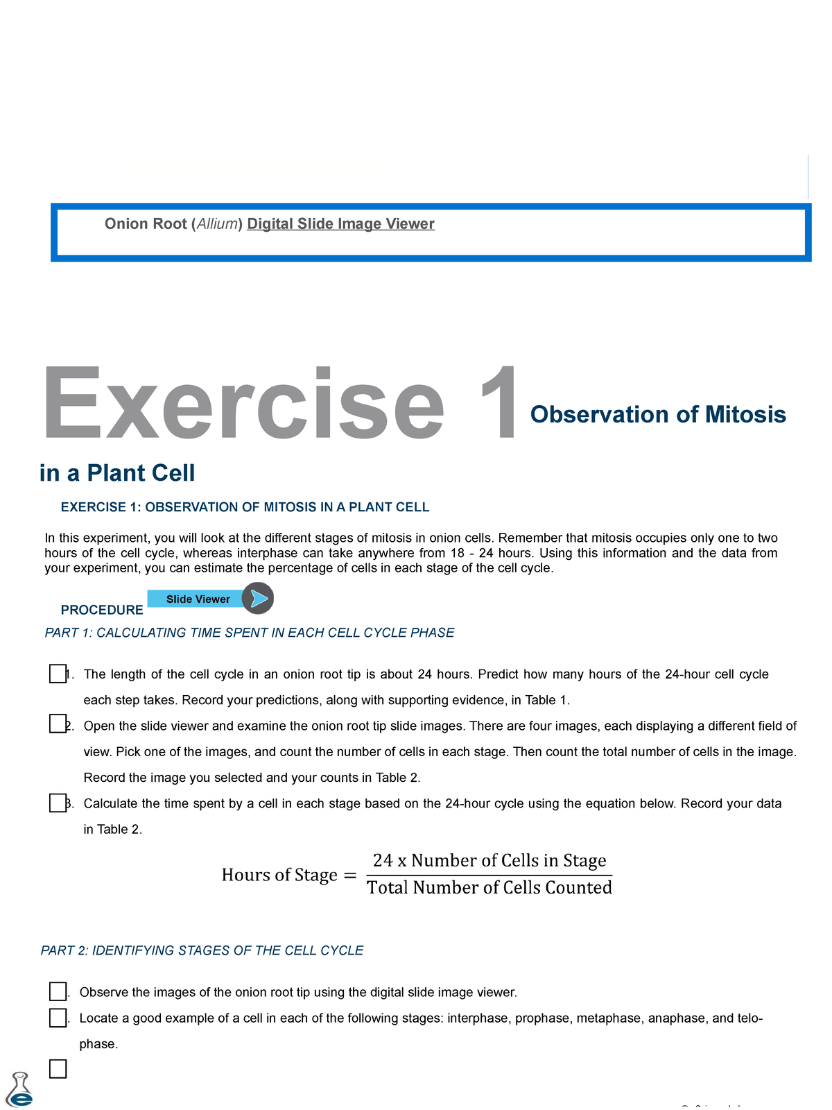 BIO101L Mitosis Part 1 - Classwork - Exercise 1 Observation Of Mitosis ...