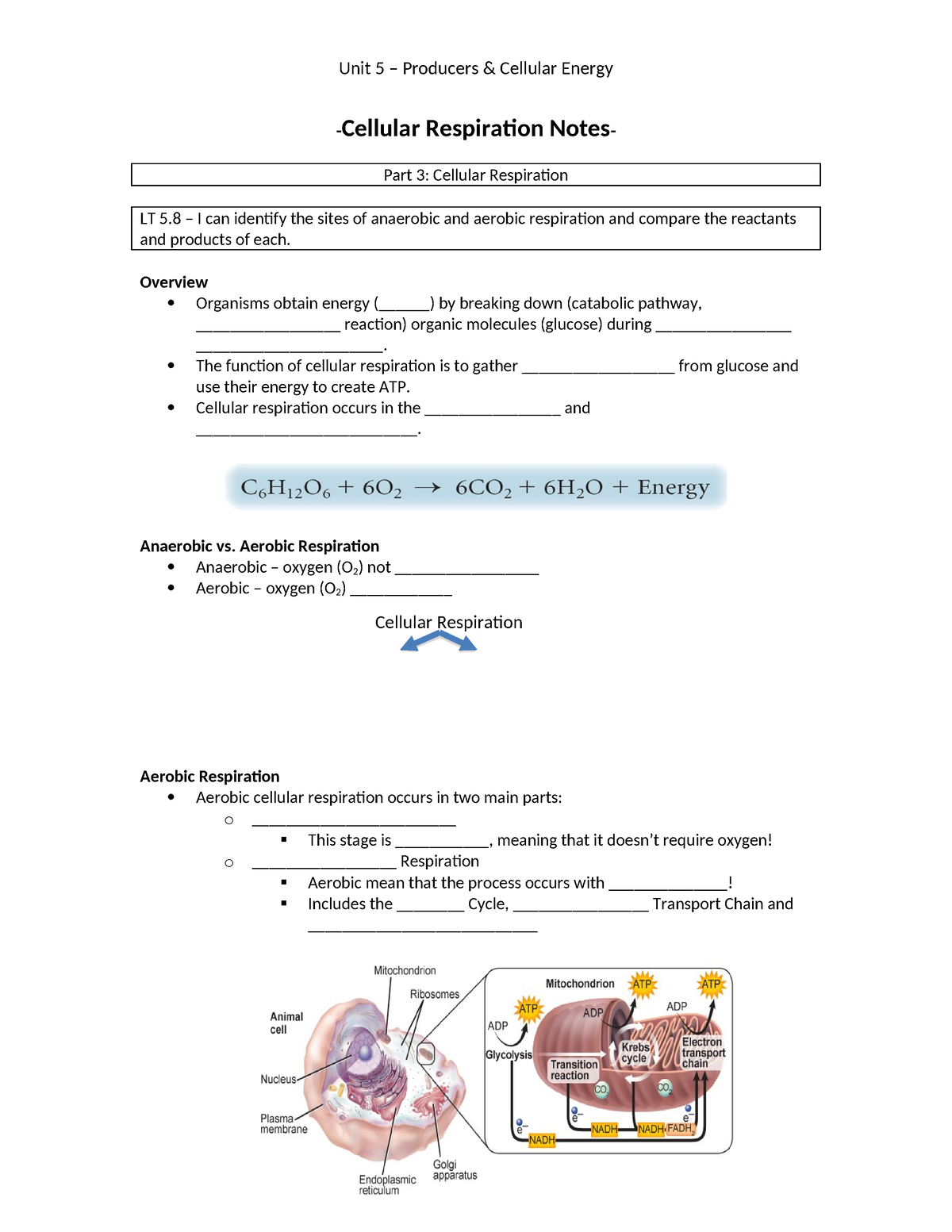 Cellular%20respiration%20guided%20notes - Cellular Respiration Notes ...